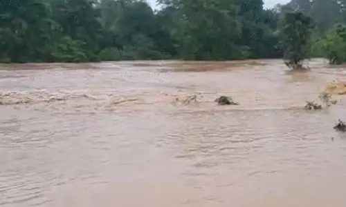 बाढ़ में बहे युवक ने पेड़ का लिया सहारा, सूझबूझ से बची जान