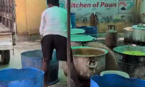 एनजीटी ने जनकपुरी में ताजे पानी के प्रदूषण की जांच के आदेश दिए