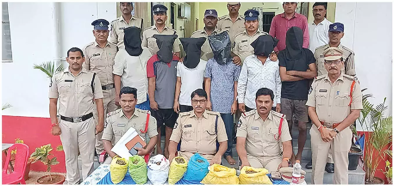 Andhra: गांजा तस्करी गिरोह के छह सदस्य गिरफ्तार Andhra: गांजा तस्करी गिरोह के छह सदस्य गिरफ्तार