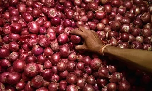 Maharashtra : प्याज किसानों को राहत, सरकार ने 350 रुपये प्रति क्विंटल की सब्सिडी मंजूर की