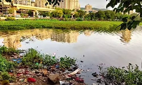 Maharashtra: मुंबई की पवई झील की सफाई के लिए अभियान शुरू किया Maharashtra: मुंबई की पवई झील की सफाई के लिए अभियान शुरू किया