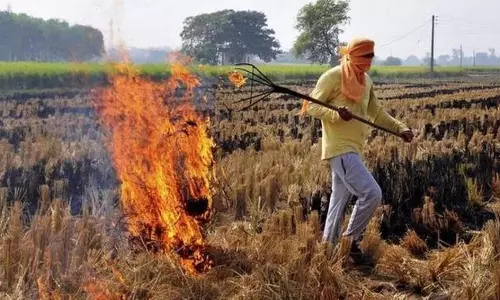 Haryana में पराली जलाने में 39 प्रतिशत की कमी के बाद और कमी लाने का लक्ष्य