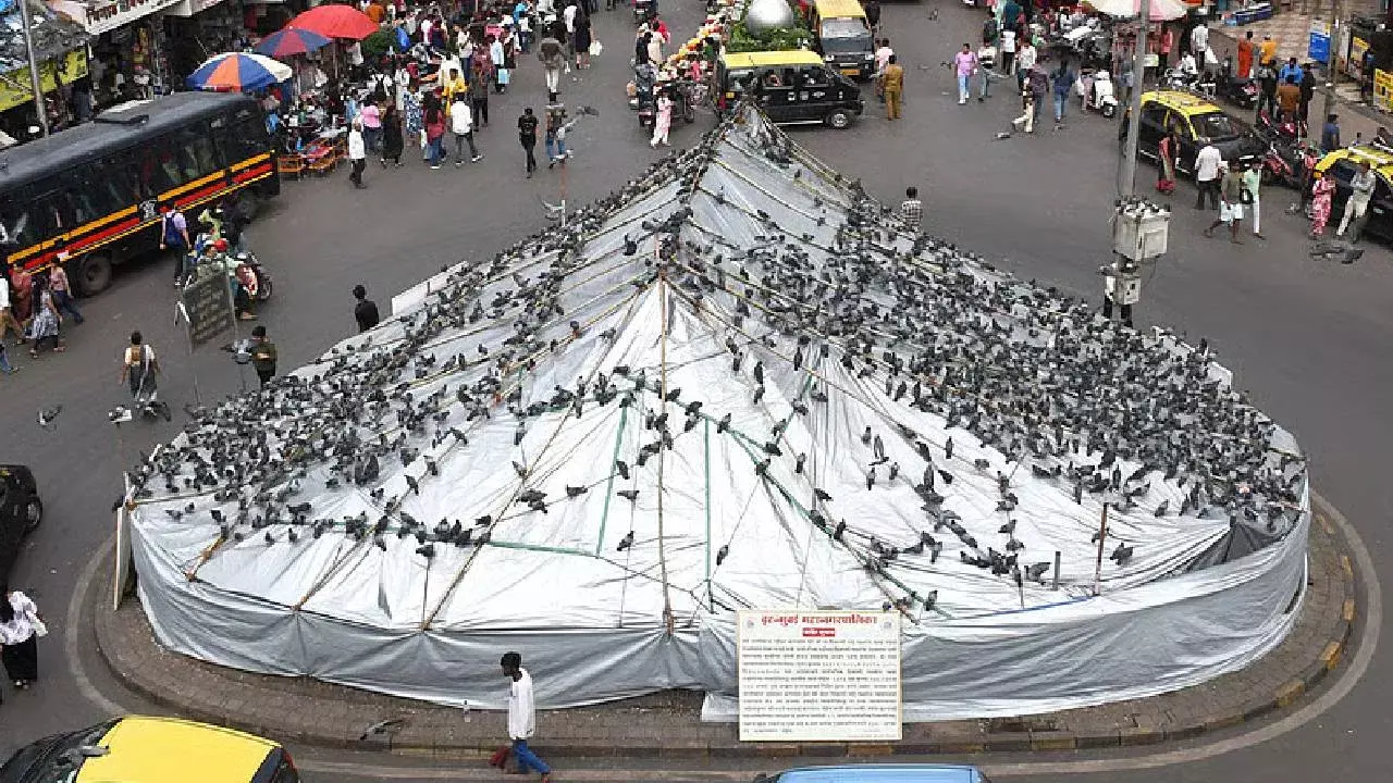 Mumbai: मराठी एकीकरण समिति का प्रदर्शन, कबूतरखाना बैन को बताया सही कदम