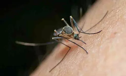 चिकनगुनिया पर WHO की चेतावनी से तेलंगाना में चिंता