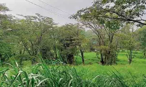 राज्य की पर्यावरणीय दुविधा, पारिस्थितिक चिंताओं के बीच tourism village की योजना