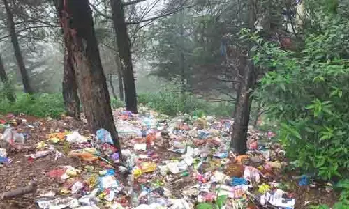 Shimla का छिपा संकट, पर्यटन की चमक के पीछे कचरे की समस्या Shimla का छिपा संकट, पर्यटन की चमक के पीछे कचरे की समस्या
