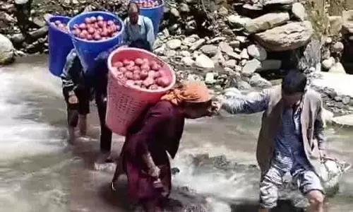 191 सड़कें अभी भी बंद, Mandi के सेब उत्पादकों को नुकसान