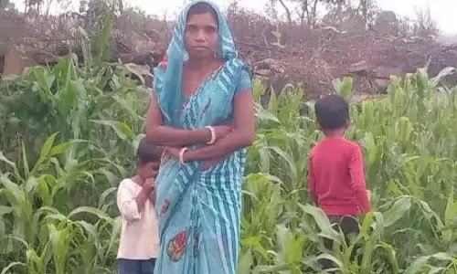 Shivpuri: सोते समय सांप के काटने से महिला और उसके दो बेटों की मौत