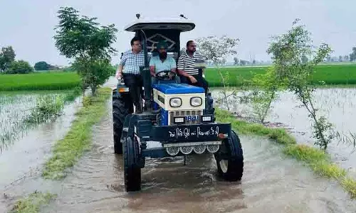 DC ने सुल्तानपुर लोधी में बाढ़ प्रभावित खेतों का दौरा किया