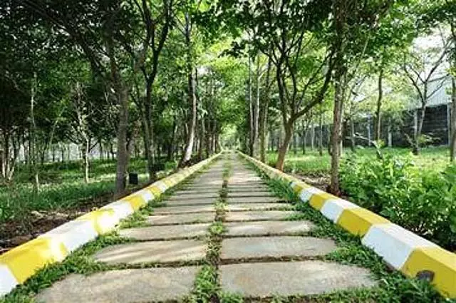 Tamil Nadu : हुंडई का 12 एकड़ का जंगल जिसमें 5,500 पेड़ है Tamil Nadu : हुंडई का 12 एकड़ का जंगल जिसमें 5,500 पेड़ है
