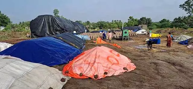 धान की खरीद 1 सितंबर से: मंत्री ए. चक्रपाणि ने घोषणा की धान की खरीद 1 सितंबर से: मंत्री ए. चक्रपाणि ने घोषणा की