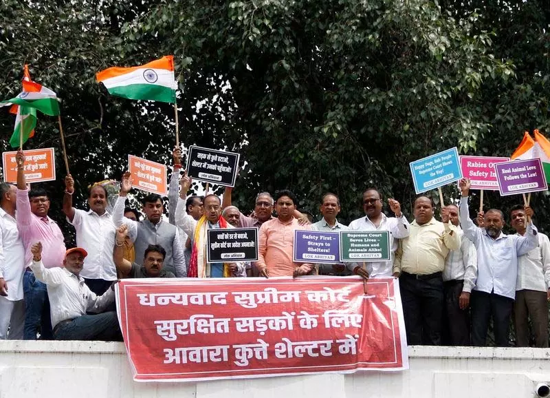 Delhi आवारा कुत्तों पर SC के आदेश पर आभार जताते हुए पूर्व मंत्री व निवासियों की रैली Delhi आवारा कुत्तों पर SC के आदेश पर आभार जताते हुए पूर्व मंत्री व निवासियों की रैली