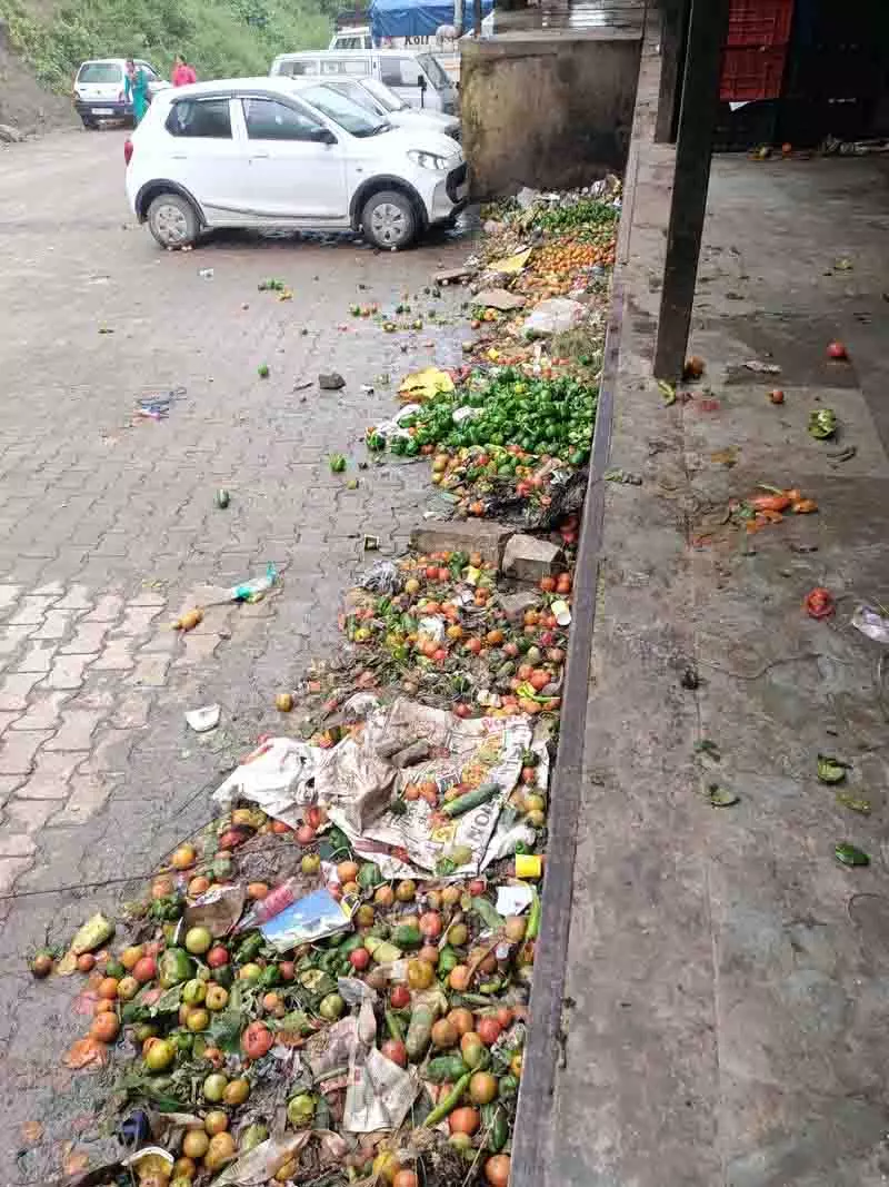 Himachal में भारी बारिश से टमाटर उत्पादकों को नुकसान, कीमतों में गिरावट Himachal में भारी बारिश से टमाटर उत्पादकों को नुकसान, कीमतों में गिरावट