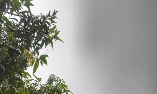 छत्तीसगढ़ : उमस के बीच अचानक हो रही हल्की बारिश छत्तीसगढ़ : उमस के बीच अचानक हो रही हल्की बारिश