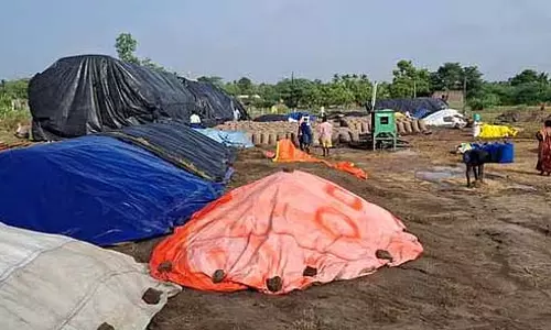 धान की खरीद 1 सितंबर से: मंत्री ए. चक्रपाणि ने घोषणा की