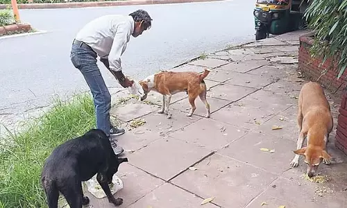 SC के आदेश का कड़ा विरोध: दिल्ली नगर निगम ने 100 आवारा कुत्तों को पकड़ा SC के आदेश का कड़ा विरोध: दिल्ली नगर निगम ने 100 आवारा कुत्तों को पकड़ा