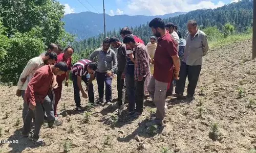 Budgam रेशम उत्पादन पर किसानों के लिए प्रशिक्षण कार्यक्रम आयोजित किया