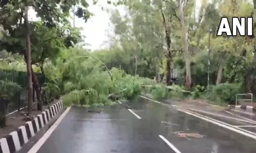 भारी बारिश से आरके पुरम सेक्टर-1 में पेड़ गिरा
