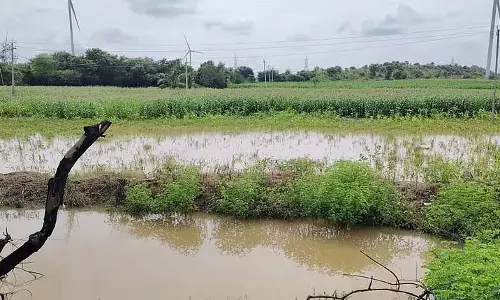 कर्नाटक में भारी बारिश: सैकड़ों एकड़ फसलें जलमग्न