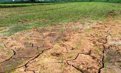फसल नुकसान से परेशान बोलांगीर के किसान ने की आत्महत्या