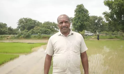 समय पर मिला खाद, खिल उठी उम्मीदें, संतोष की मेहनत में भरेंगे रंग