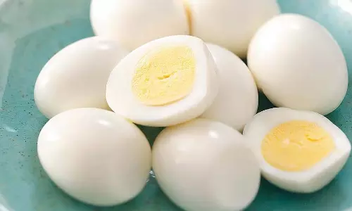 गर्म भोजन: अंडों के खिलाफ प्रदर्शन करने पर 84 बच्चों को टीसी मिला