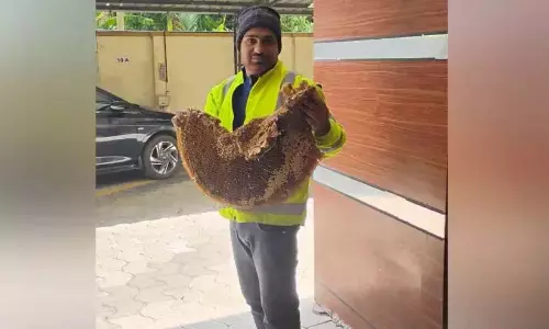 Kerala : शहद की खेती में उमराली शिहाब की सफलता की कहानी Kerala : शहद की खेती में उमराली शिहाब की सफलता की कहानी