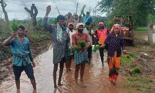 खराब सड़क: किसानों ने धान की रोपाई कर विरोध प्रदर्शन किया