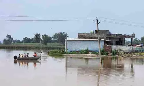 Sultanpur Lodhi के मंड क्षेत्र के 22 गांव जलमग्न
