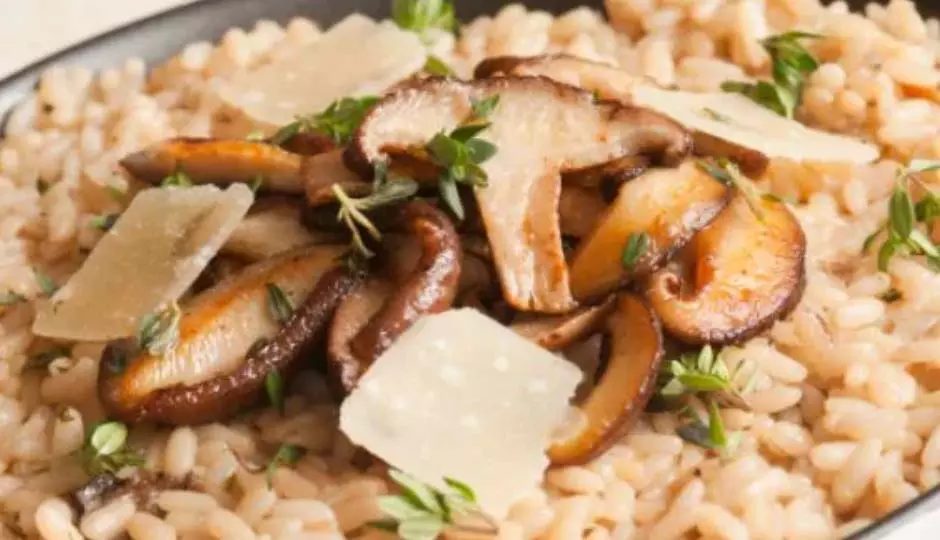 Mushroom Rice : टेस्टी और हेल्दी डिश Mushroom Rice : टेस्टी और हेल्दी डिश