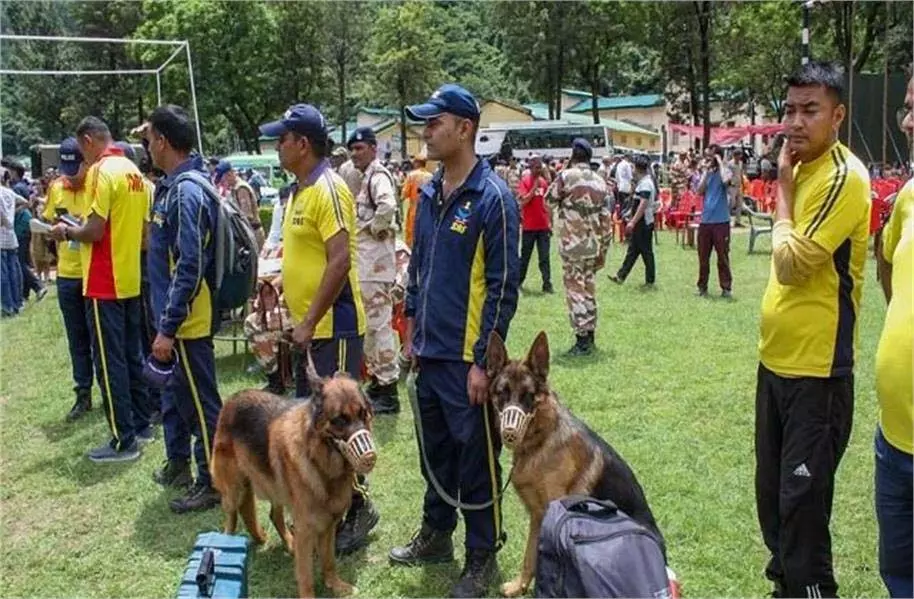 Uttarakhand: बाढ़ में लापता लोगों को ढूंढने में मददगार बने दो जर्मन शेफर्ड Uttarakhand: बाढ़ में लापता लोगों को ढूंढने में मददगार बने दो जर्मन शेफर्ड