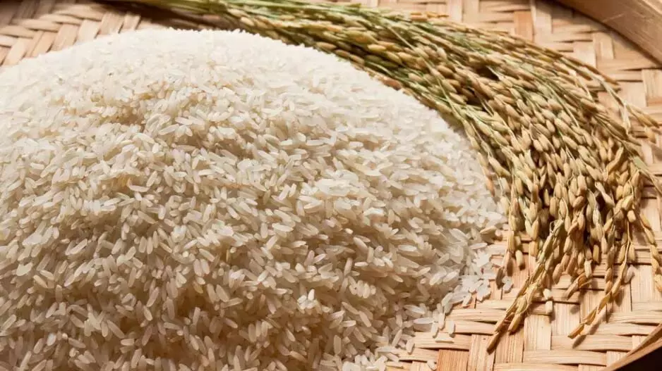 Odisha: खाद्य सुरक्षा बढ़ाने के लिए 3 महीने मुफ्त चावल योजना लागू Odisha: खाद्य सुरक्षा बढ़ाने के लिए 3 महीने मुफ्त चावल योजना लागू