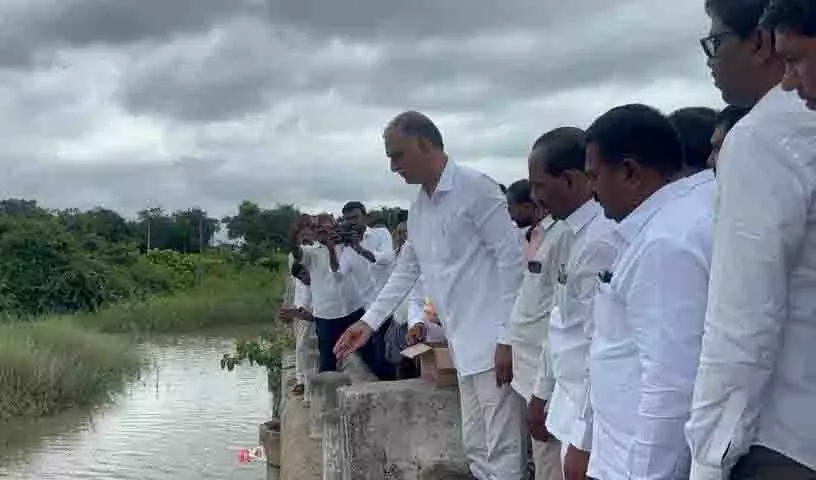 पानी की पंपिंग में देरी के कारण सिद्दीपेट में खेती का रकबा 1.20 लाख एकड़ घटा: Harish पानी की पंपिंग में देरी के कारण सिद्दीपेट में खेती का रकबा 1.20 लाख एकड़ घटा: Harish