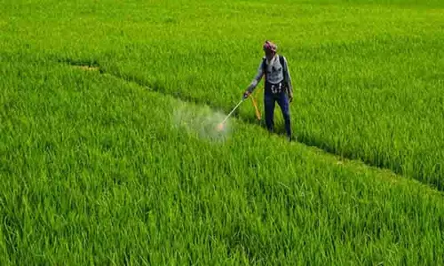 Punjab मंत्रिमंडल ने भूमि पूलिंग नीति की अधिसूचना रद्द करने को मंजूरी दी
