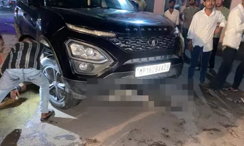MP : छतरपुर में तेज रफ्तार कार ने आवारा गाय को कुचला