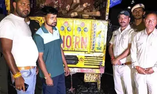 Himachal: वन विभाग ने लाखों रुपये की देवदार की लकड़ी जब्त की, तीन गिरफ्तार