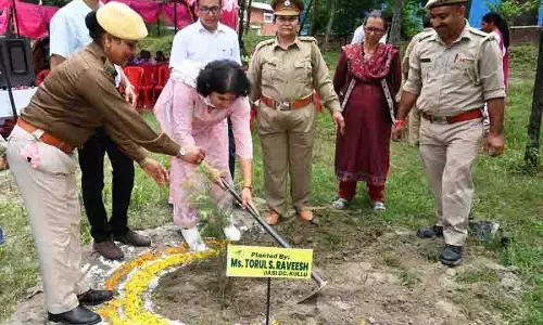 Himachal: वन महोत्सव के तहत पौधारोपण अभियान चलाया गया Himachal: वन महोत्सव के तहत पौधारोपण अभियान चलाया गया