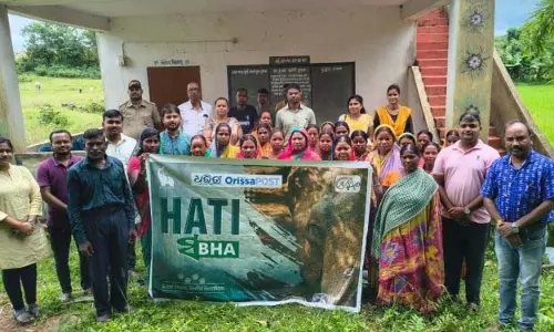 Baripada हाथियों के संरक्षण के लिए सामूहिक प्रयास की आवश्यकता