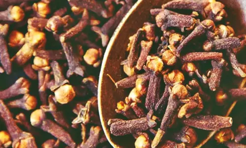 इम्यून सिस्टम को बूस्ट और पाचन तंत्र को दुरुस्त करता है लौंग, मगर ये सावधानियां भी हैं जरूरी इम्यून सिस्टम को बूस्ट और पाचन तंत्र को दुरुस्त करता है लौंग, मगर ये सावधानियां भी हैं जरूरी