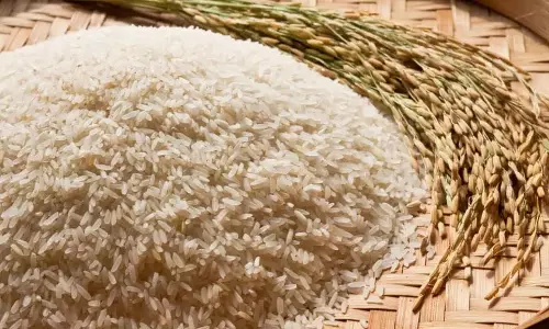 Odisha: खाद्य सुरक्षा बढ़ाने के लिए 3 महीने मुफ्त चावल योजना लागू