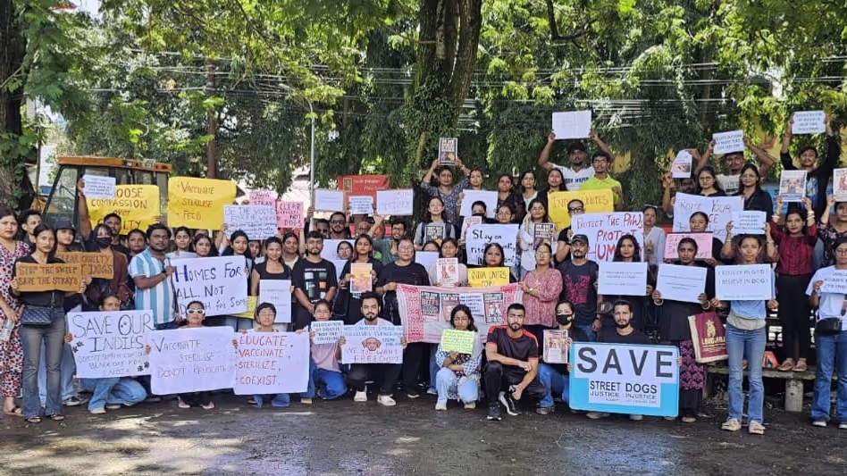 Assam में सामुदायिक कुत्तों पर सुप्रीम कोर्ट के आदेश का विरोध, मानवीय विकल्प की मांग Assam में सामुदायिक कुत्तों पर सुप्रीम कोर्ट के आदेश का विरोध, मानवीय विकल्प की मांग