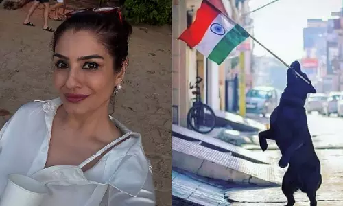 Raveena Tandon की अपील, दिल्ली के स्ट्रीट डॉग्स को भी मिले अधिकार