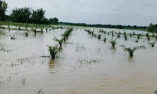 Pedda Beeravalli में जलमग्न फसल वाले खेत