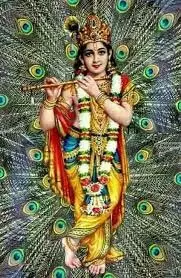 Krishna Janmashtami 2025: जानिए भगवान कृष्ण के मुकुट पर मोर पंख की सजावट - आध्यात्मिक रहस्य Krishna Janmashtami 2025: जानिए भगवान कृष्ण के मुकुट पर मोर पंख की सजावट - आध्यात्मिक रहस्य