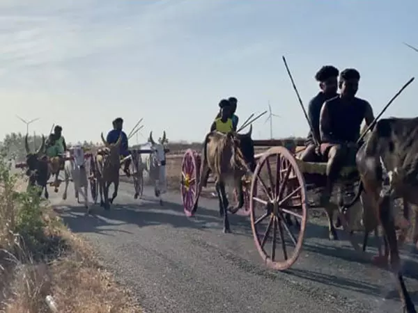 Thoothukudi में बैलगाड़ी दौड़ के साथ मनाई गई कृष्ण जन्माष्टमी Thoothukudi में बैलगाड़ी दौड़ के साथ मनाई गई कृष्ण जन्माष्टमी