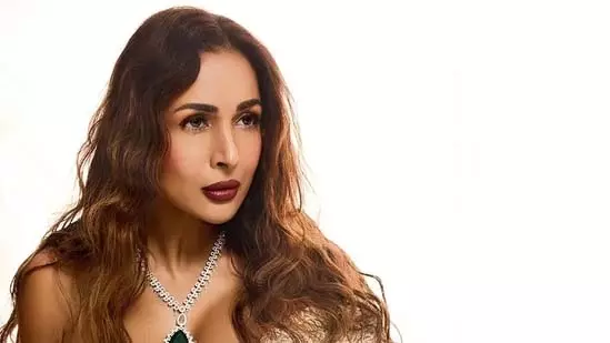 सिंगल मदर की बेटी हूं, मेहनत मेरे खून में है: Malaika Arora सिंगल मदर की बेटी हूं, मेहनत मेरे खून में है: Malaika Arora