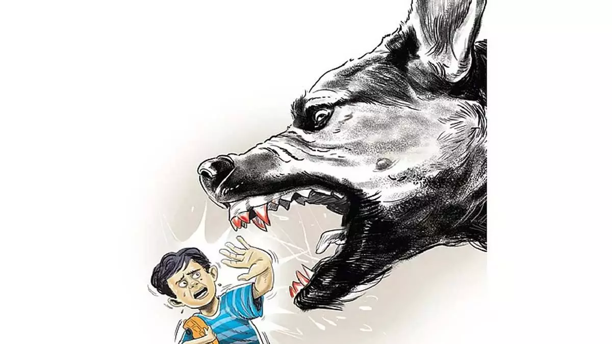 Kerala में बढ़ते हमलों के दबाव के बीच आवारा कुत्तों को सीमित संख्या में मारने पर विचार Kerala में बढ़ते हमलों के दबाव के बीच आवारा कुत्तों को सीमित संख्या में मारने पर विचार