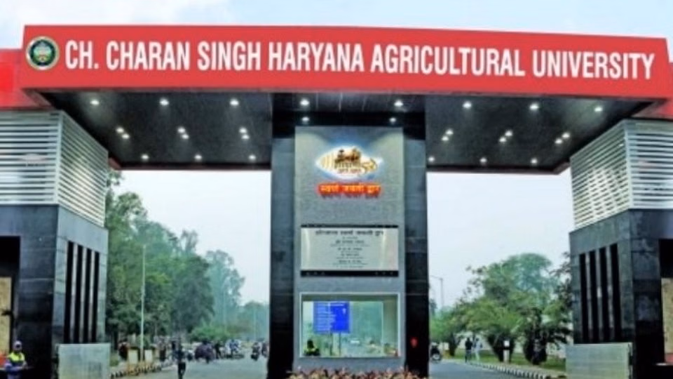 Hisar: कृषि विवि ने प्रवेश परीक्षा के नतीजे घोषित किए Hisar: कृषि विवि ने प्रवेश परीक्षा के नतीजे घोषित किए