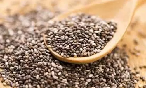 Chia Seeds: दही और चिया बीज स्वास्थ्य के लिए लाभकारी संयोजन हैं Chia Seeds: दही और चिया बीज स्वास्थ्य के लिए लाभकारी संयोजन हैं