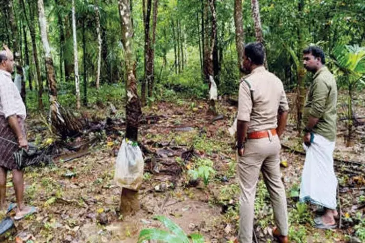 Kerala : कैदी बाहर निकलने से डर रहे हैं 5000 नारियल गायब, एक भी नहीं बचा